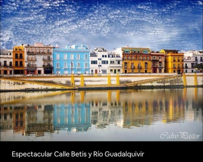 Duplex En El Centro De Triana Séville